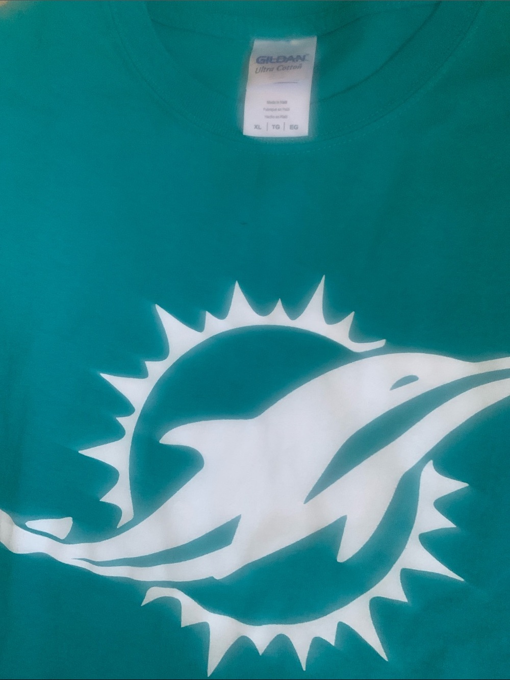 Gildan Teal T-Shirt with White Dolphin Sun Graphic